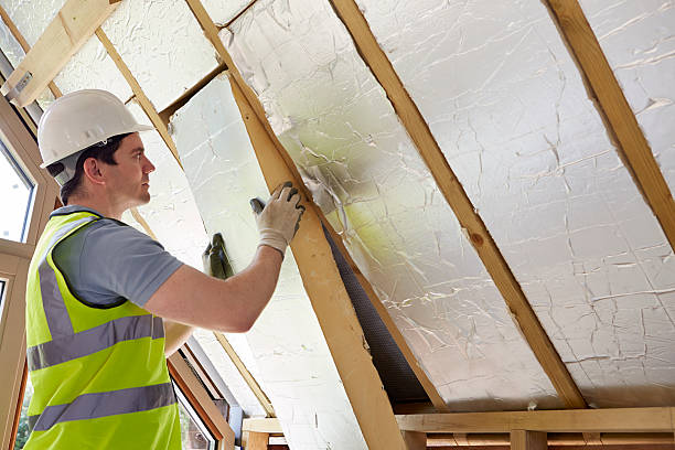 Professional Insulation Contractor in MD